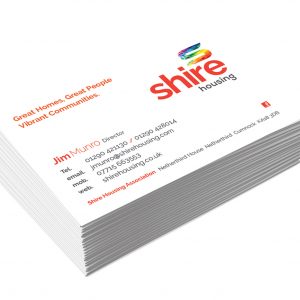 Premium Silk Single Sided Business cards